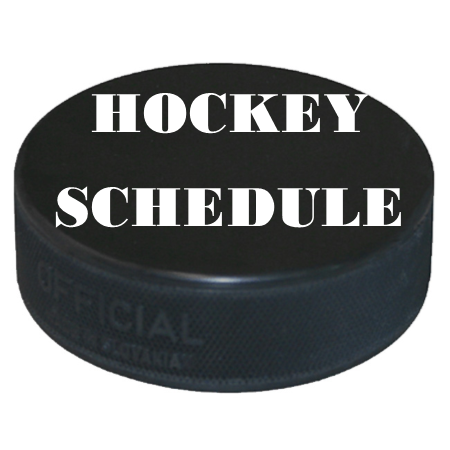 hockey adult arena schedule open