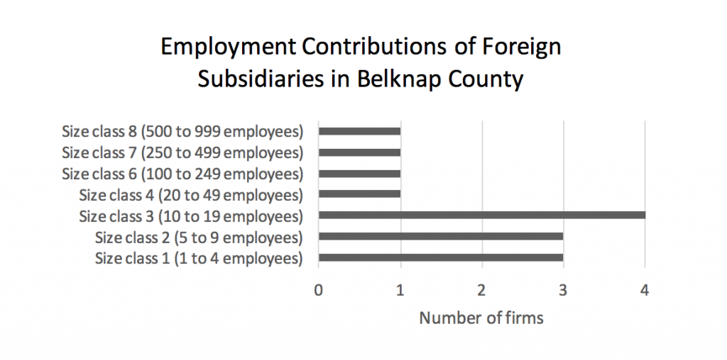 employment-contributions-of-foreign-subsidiaries-in-belknap-county
